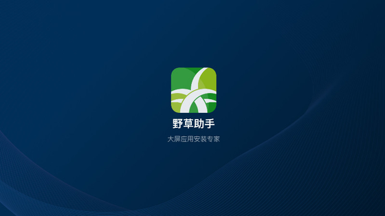 野草助手TV版 - 智能电视应用安装与管理工具 Hero图